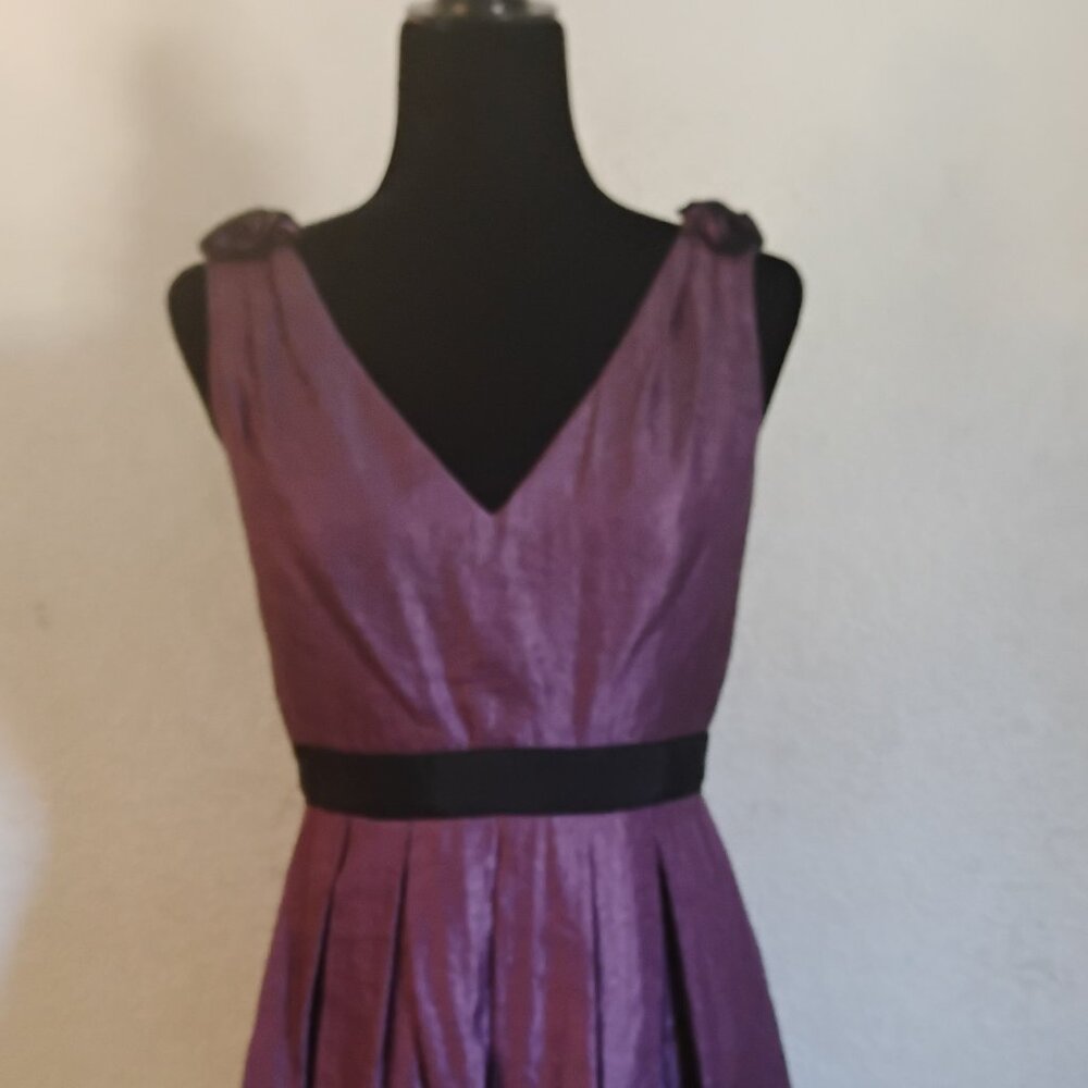 Purple Adrianna Papell Evening shimmering cocktail dress with black trim. 6
